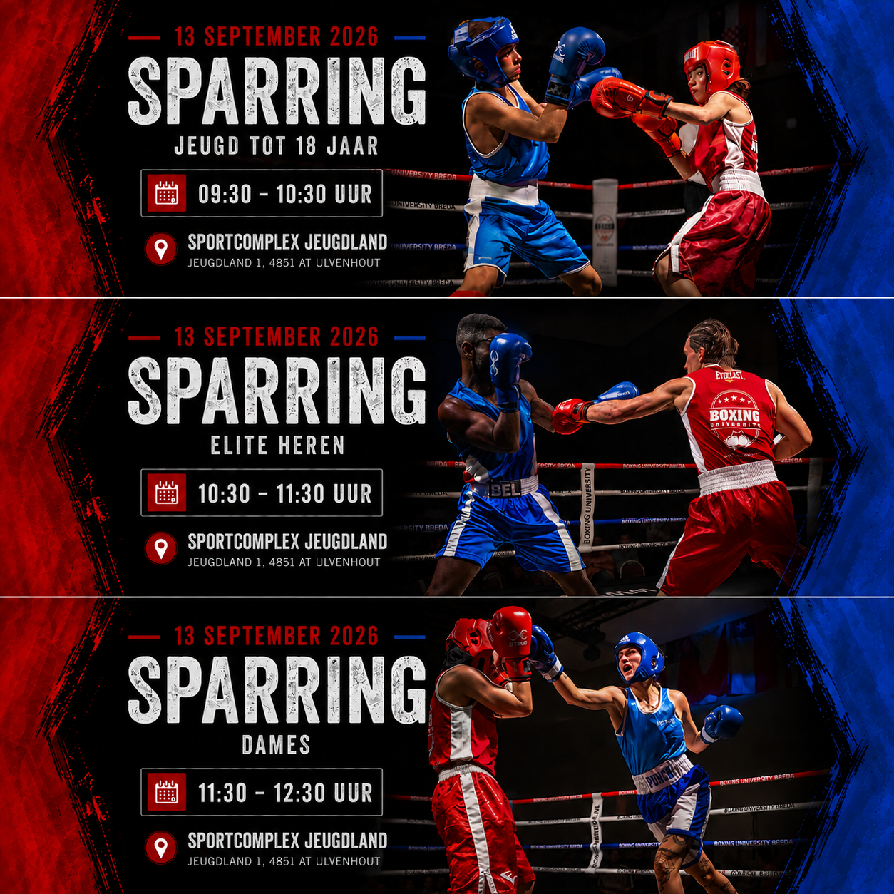 Logo van Team Zuid Boxing University Breda, met een gouden bokshandschoen, rode en gouden kleuren, en de tekst ‘Team Zuid Boxing, Est 2020’