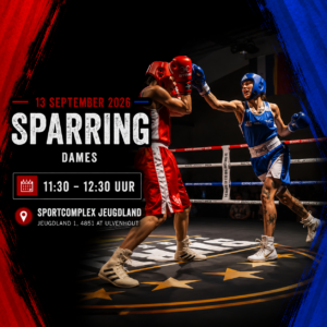 Logo van Team Zuid Boxing University Breda, met een gouden bokshandschoen, rode en gouden kleuren, en de tekst ‘Team Zuid Boxing, Est 2020’