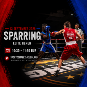 Logo van Team Zuid Boxing University Breda, met een gouden bokshandschoen, rode en gouden kleuren, en de tekst ‘Team Zuid Boxing, Est 2020’